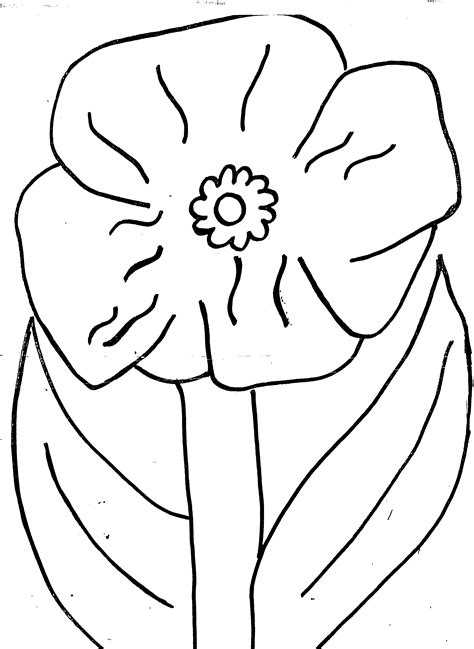 Poppy Printable Coloring Pages